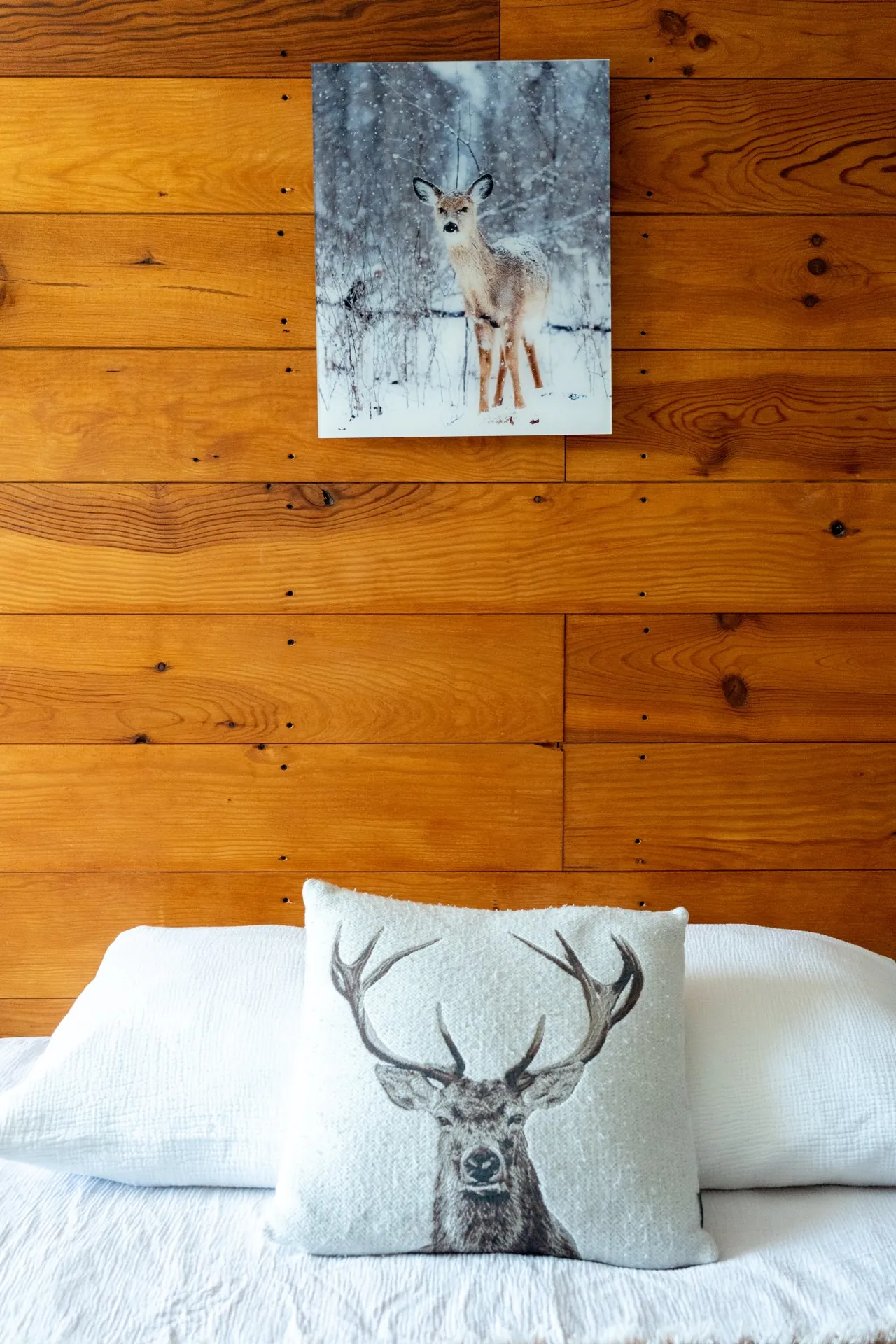 Décoration montagne de la chambre Le Chamois