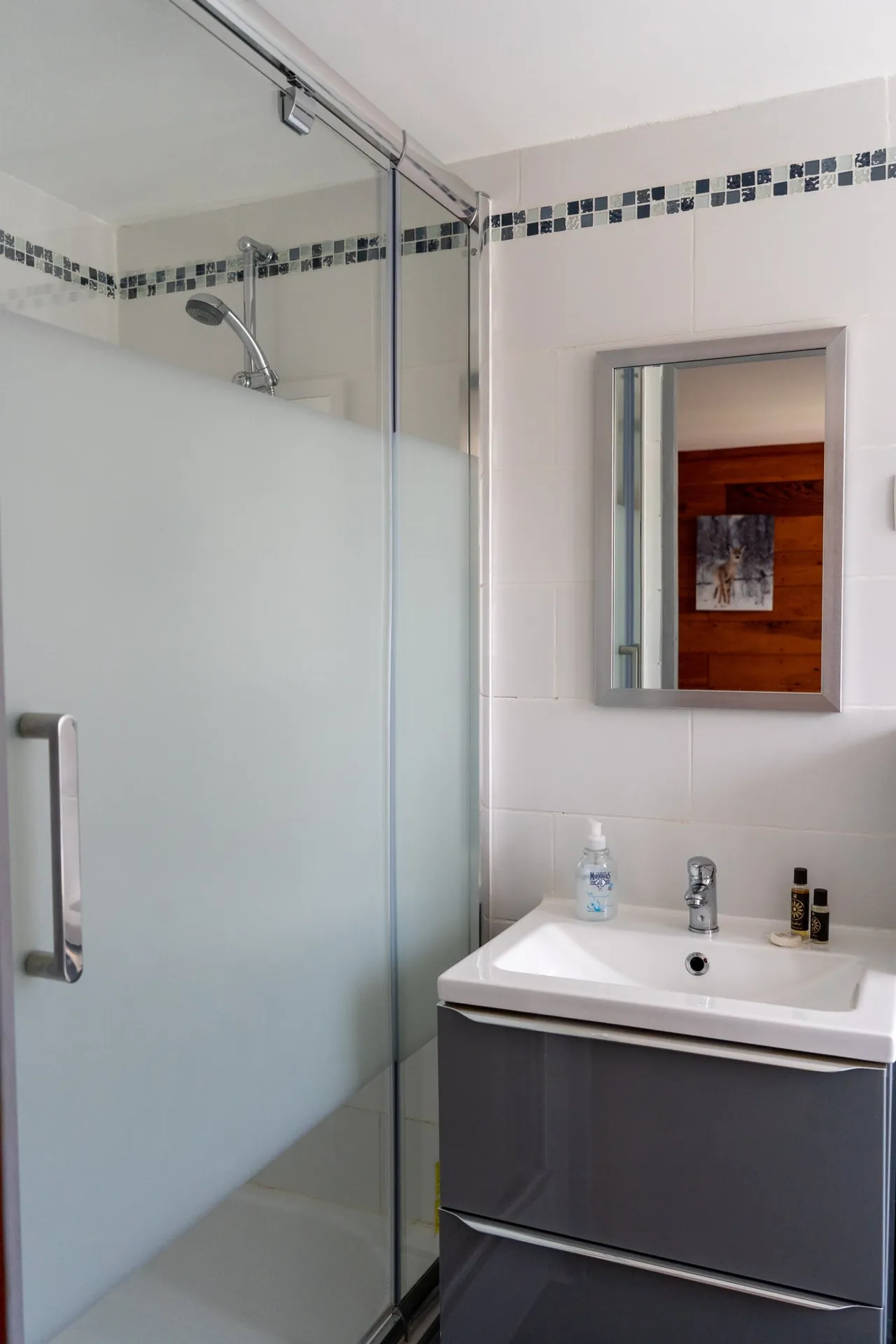 Salle de bain avec douche, chambre Le Chamois