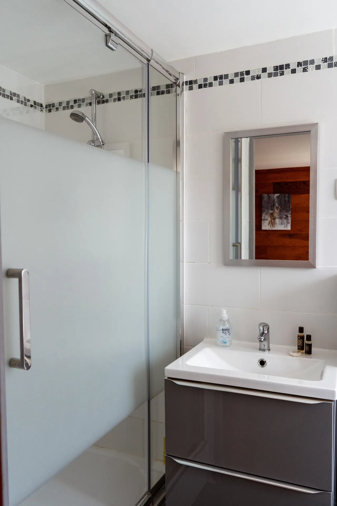 Salle de bain avec douche, chambre Le Mounier