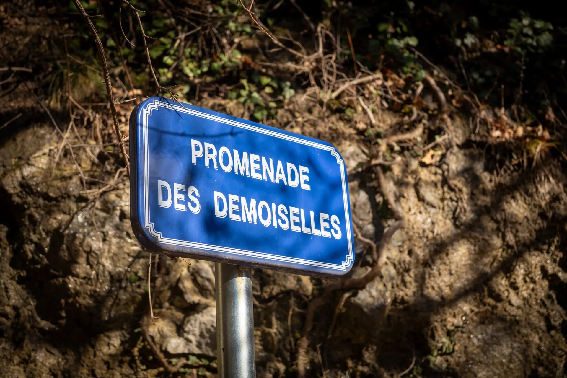 Panneau de la promenade des Demoiselles
