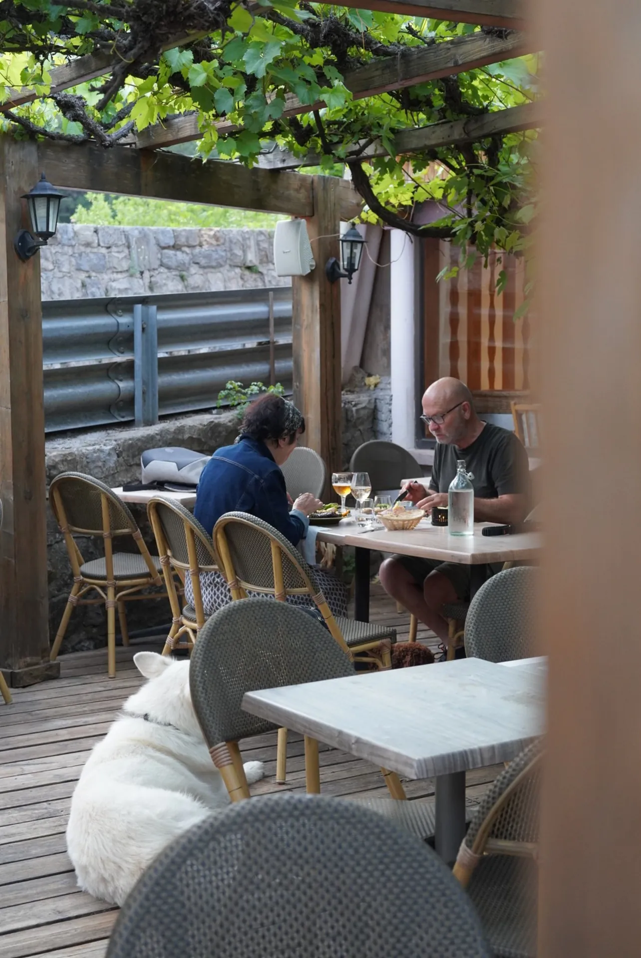 Déjeuner sur la terrasse sous la vigne, chien bienvenu
